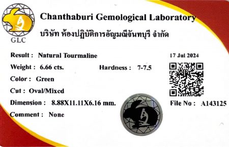 Chanthaburi Gemological Laboratory